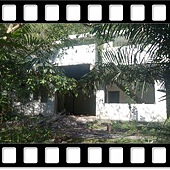 DSC_2213.JPG DSC_2213.JPG