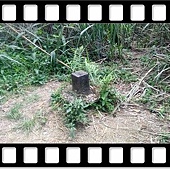 DSC_1871.JPG DSC_1871.JPG