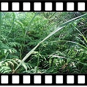 DSC_1931.JPG DSC_1931.JPG