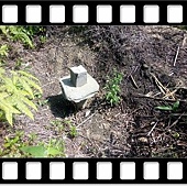 DSC_1997.JPG DSC_1997.JPG