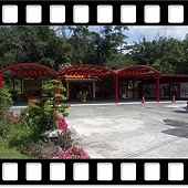 DSC_2023.JPG DSC_2023.JPG