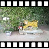 DSC_2043.JPG DSC_2043.JPG