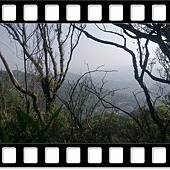 DSC_1844.JPG DSC_1844.JPG