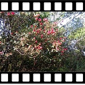 DSC_1870.JPG DSC_1870.JPG