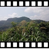 DSC_1978.JPG DSC_1978.JPG