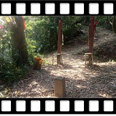 DSC_1831.JPG DSC_1831.JPG