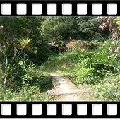 DSC_1842.JPG DSC_1842.JPG