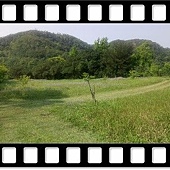 DSC_1881.JPG DSC_1881.JPG