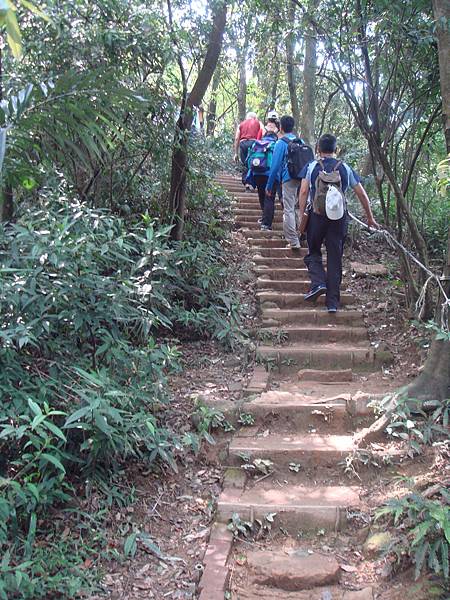 太極嶺登山103.04.06 (14).JPG