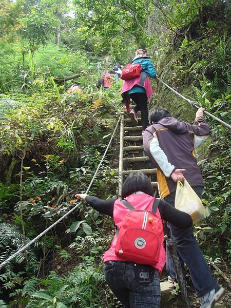 太極嶺登山103.04.06 (16).JPG