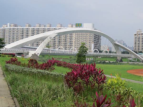 陽光橋103.06.01 (23).JPG