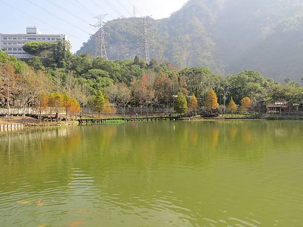 車埕湖景104.01.03 (6)