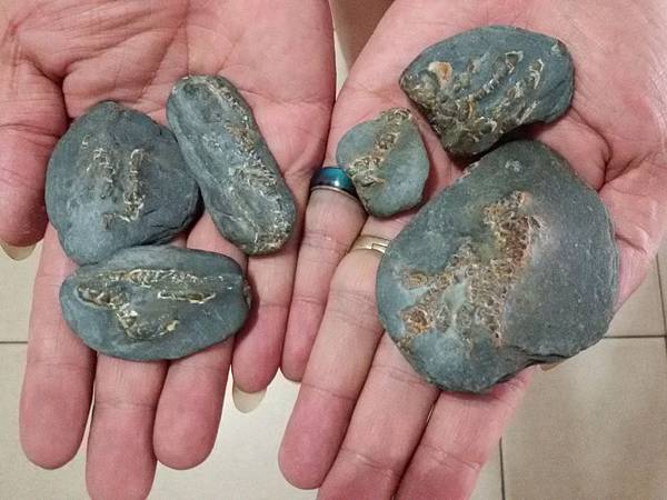 武界龍紋石104.07.04 (21).jpg