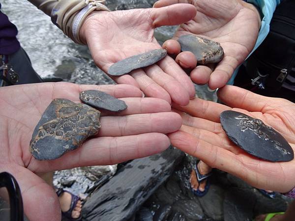 武界龍紋石104.07.04 (25).jpg