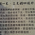 龍洞灣岬104.10.27 (17).jpg