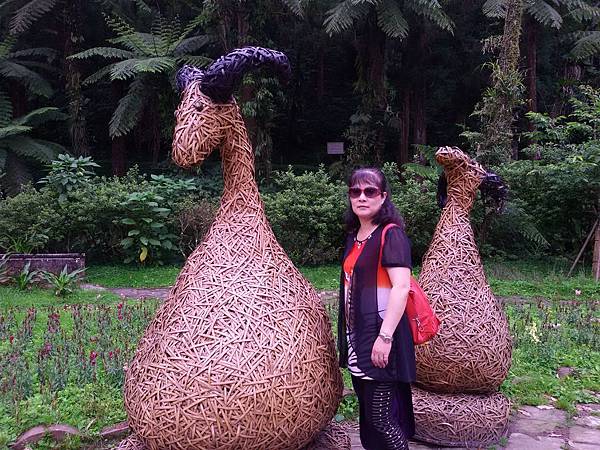 溪頭105.05.14 (19).jpg