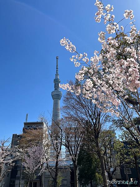 【東京美食】2023敘敘苑最新商業午餐菜單，在晴空塔上享受高