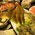 IMG_7865.JPG