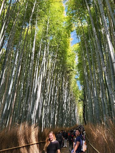 〔Day7〕京都~搭嵐山小火車遊嵐山