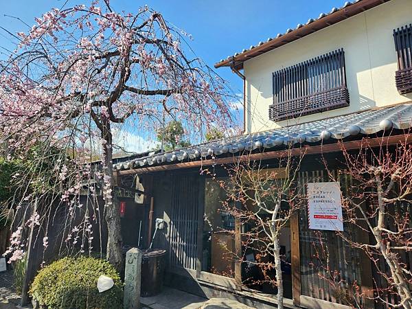 〔Day7〕京都~搭嵐山小火車遊嵐山