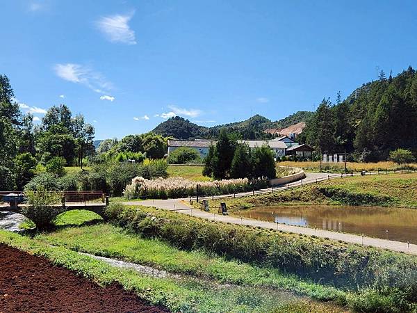 Day2(下)‧沉浸在鬆弛感的咖啡館