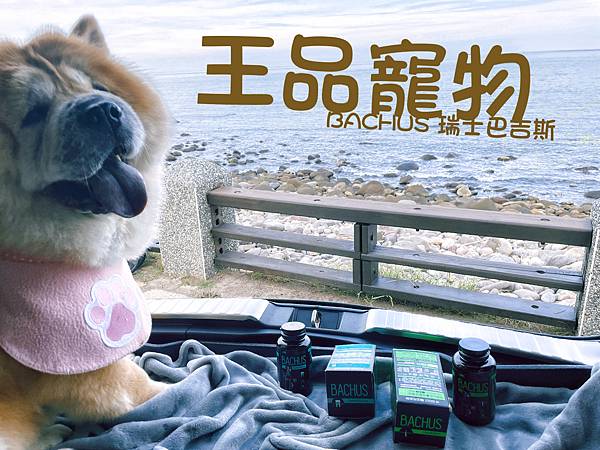 2023 新品上市「王品寵物」-BACHUS瑞士巴吉斯保健錠
