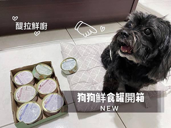 我的狗很挑嘴？！ 狗鮮食罐開箱 「 醍菈鮮廚  」