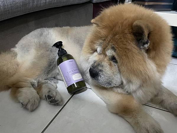 毛寶貝不再癢癢「可沛寵藥」絲胺植萃寵物沐浴乳開箱