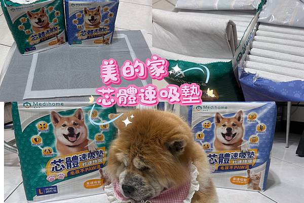 10秒瞬吸狗狗不會臭的尿墊秘密：「美的家」芯體速吸墊：室內不
