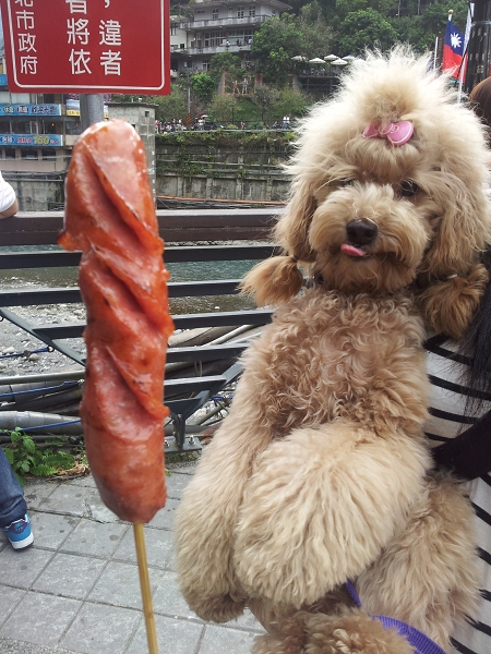 20121027_143652(001)