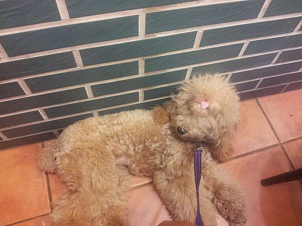 20121027_151917(001)