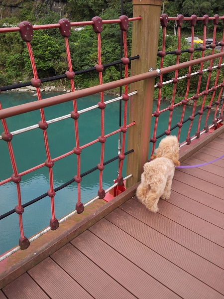 20121027_154913(001)