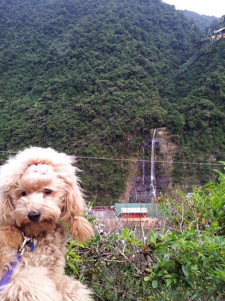 20121027_160450(001)