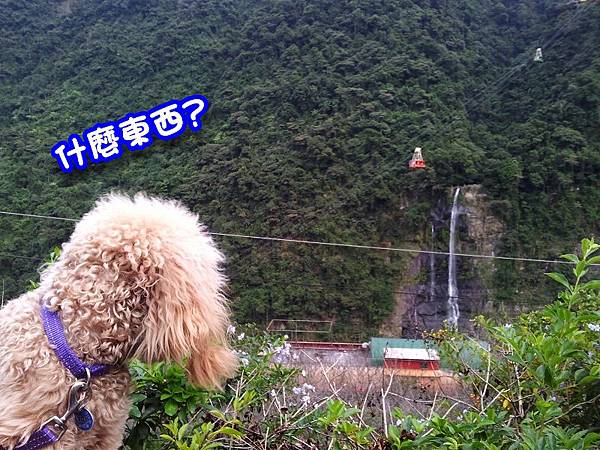 20121027_160519(001)