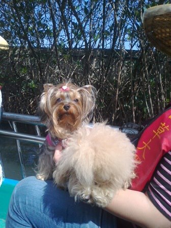 58815_592531187427750_69528332_n