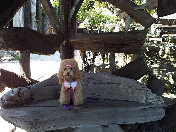 20121013_095505(001)