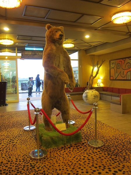 IMG_9770(001).jpg IMG_9770(001).jpg