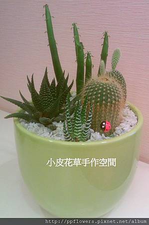 IMAG0757-1.jpg IMAG0757-1.jpg