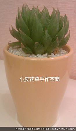 IMAG0759-1.jpg IMAG0759-1.jpg