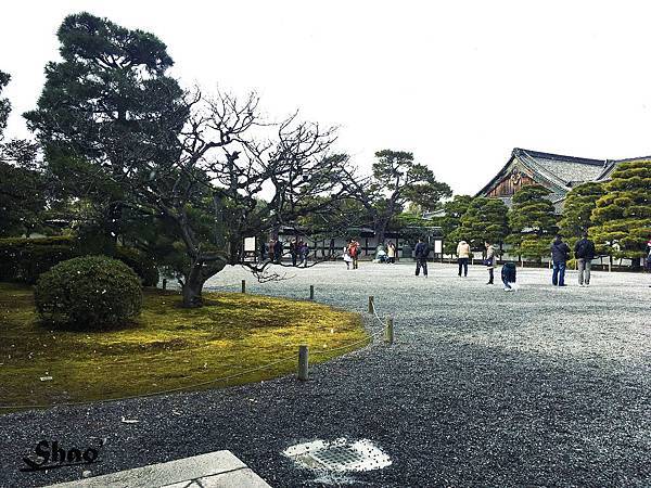 IMG_5489.jpg