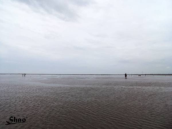 IMG_8959.jpg