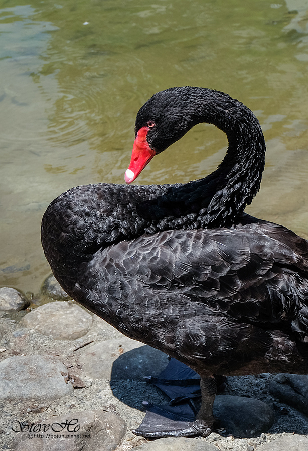 DSCF6341.jpg DSCF6341.jpg