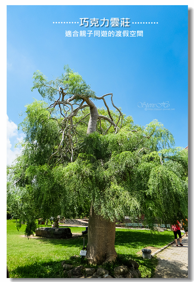 DSCF6347.jpg DSCF6347.jpg