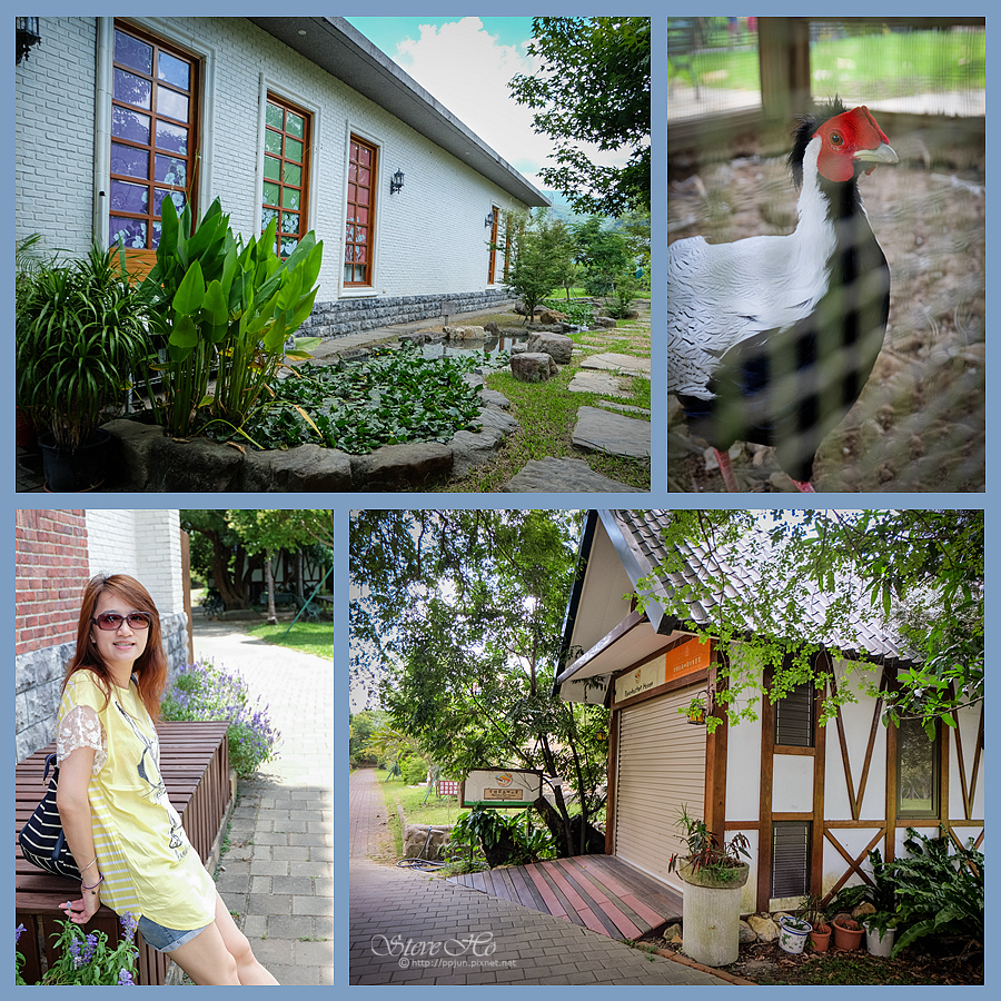 DSCF6506.jpg DSCF6506.jpg