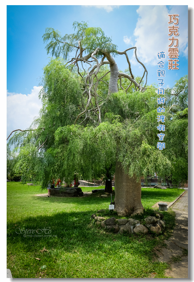 DSCF6534.jpg DSCF6534.jpg