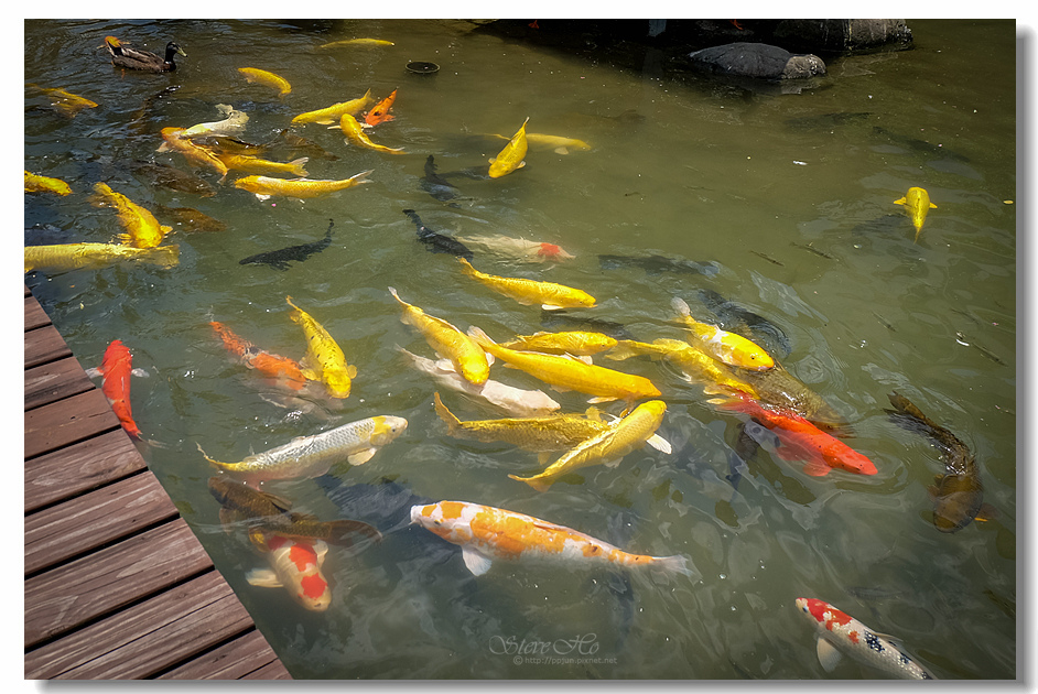 DSCF6541.jpg DSCF6541.jpg