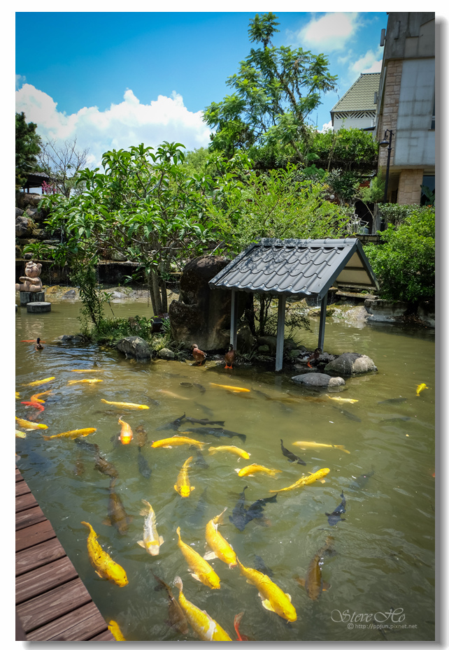 DSCF6542.jpg DSCF6542.jpg