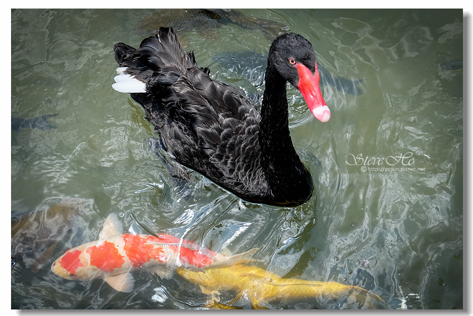 DSCF6549.jpg DSCF6549.jpg