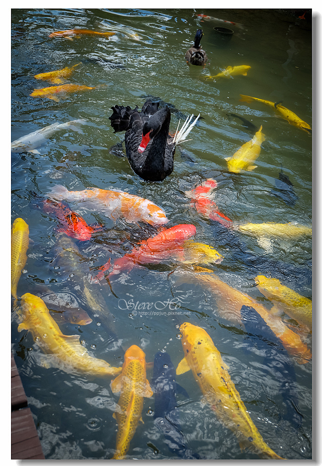 DSCF6563.jpg DSCF6563.jpg