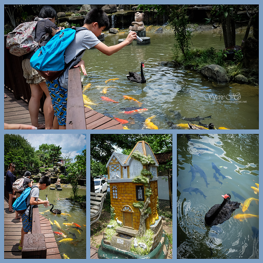 DSCF6570.jpg DSCF6570.jpg